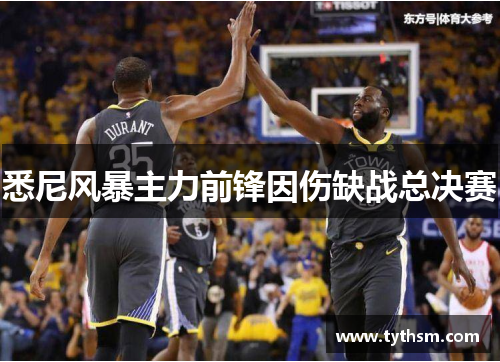 悉尼风暴主力前锋因伤缺战总决赛